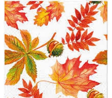 Guardanapos Fall Colors Pack 20uni Ref.SDL 136500