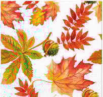 Guardanapos Fall Colors Pack 20uni Ref.SDL 136500